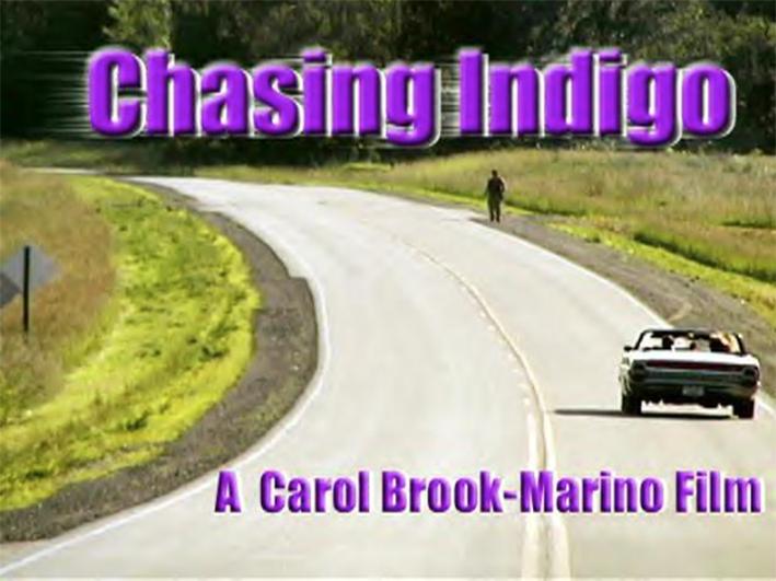 Chasing Indigo (2000)