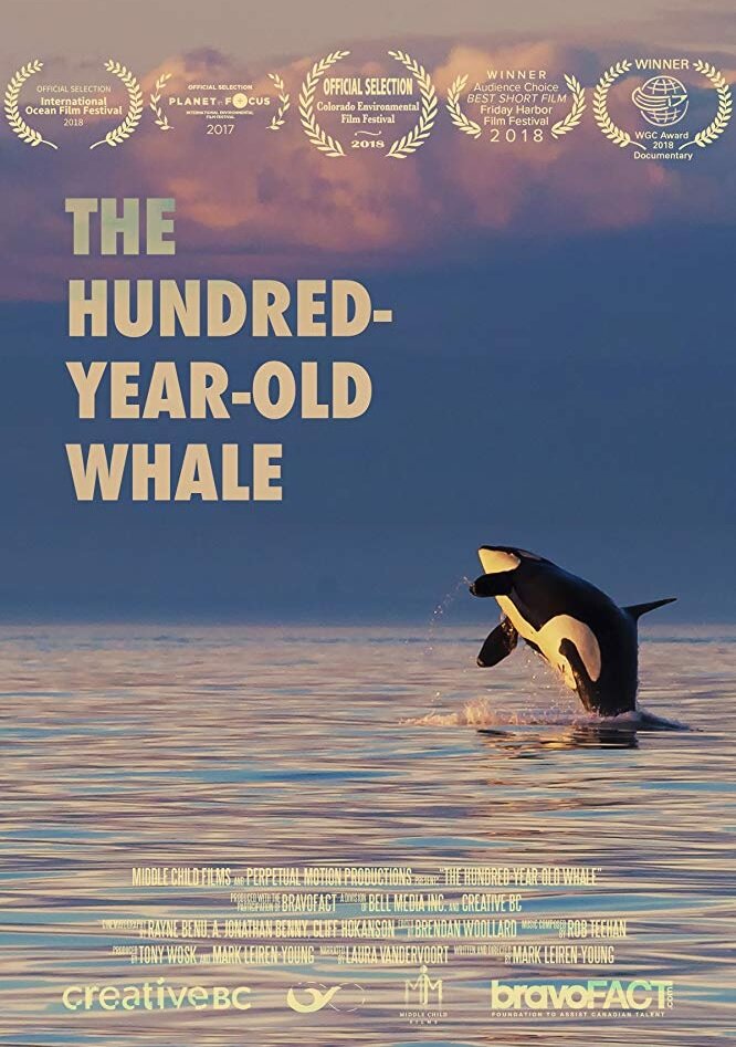 The Hundred Year Old Whale (2017)