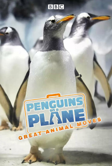 Пингвины на самолете: Передвижение великих животных (2014)
