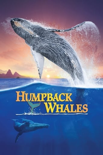 Горбатые киты (2015)