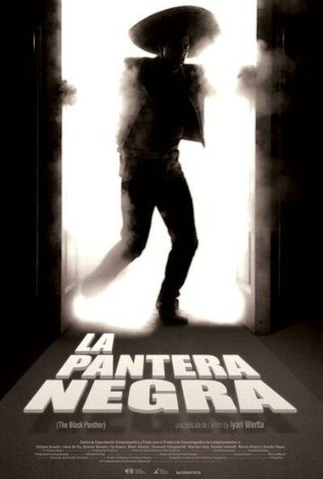 Черная пантера (2010)