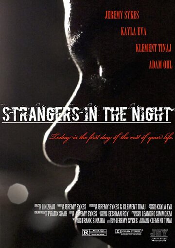 Strangers in the Night (2016)
